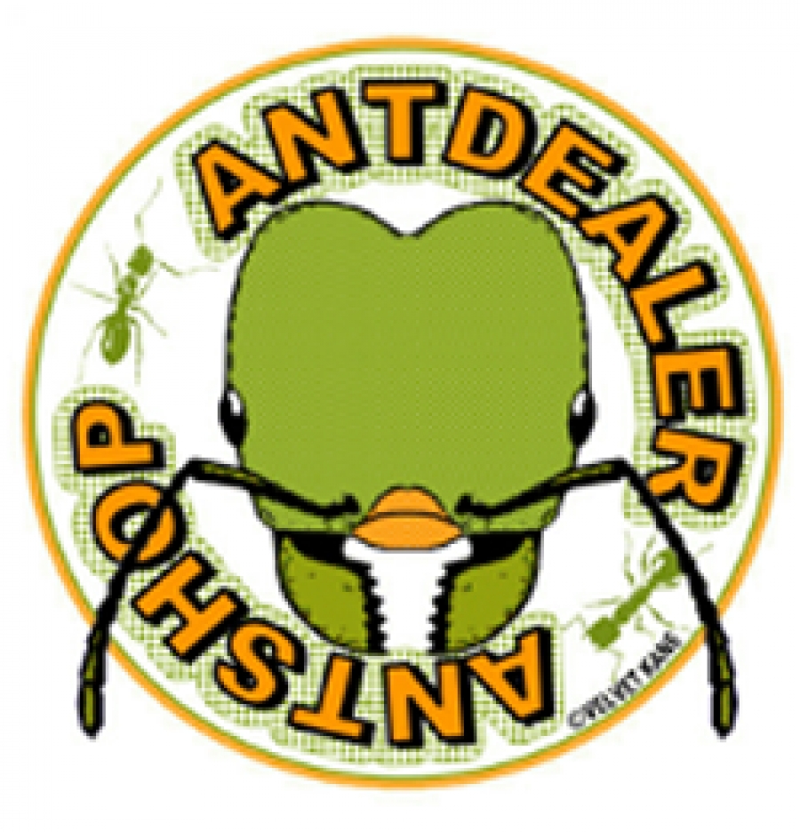 antdealer-ameisenshop