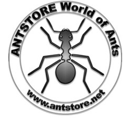 Antstore