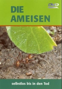 Die Ameisen