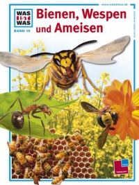 Bienen, Wespen und Ameisen